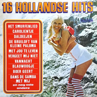 16 Hollandse hits by Various Artists - album cover
