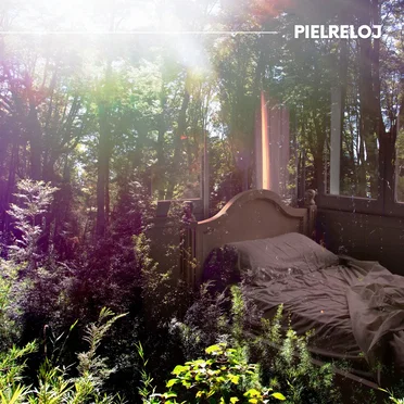 vincapervinca by Piel Reloj - album cover