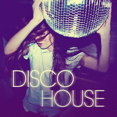 Disco House by Various Artists - album cover