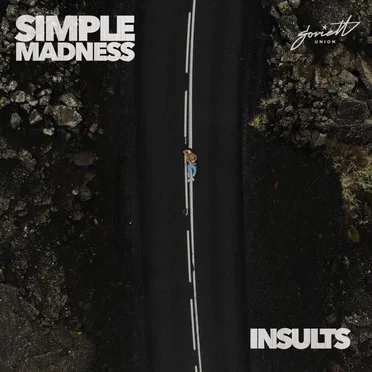 Insults by Simple Madness - album cover