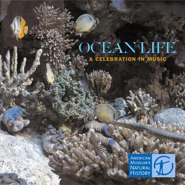 Ocean Life: A Celebration in Music by Various Artists - album cover
