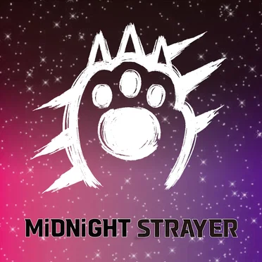 MiDNiGHT STRAYER by C.LiTZ - album cover