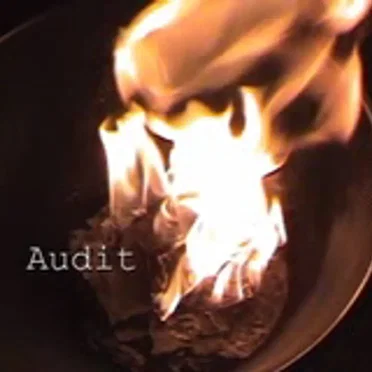 Audit (Project Direct) by Bad Mutha Booboisie - album cover
