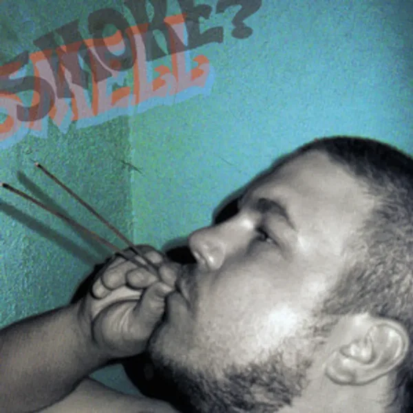 Smell Smoke?