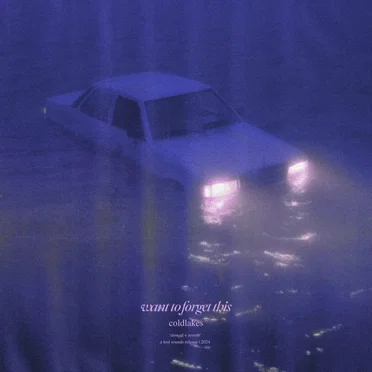 want to forget this by coldlakes - album cover