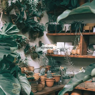 Hothouse