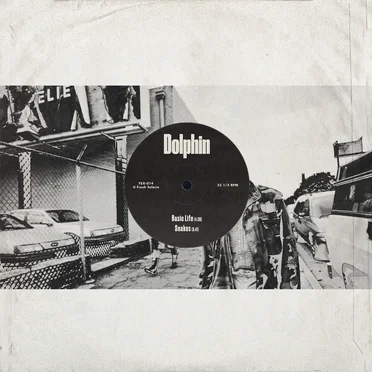 Basic Life / Snakes by Dolphin - album cover