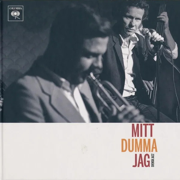 Mitt Dumma Jag