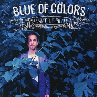 Small Little Pieces by Blue of Colors - album cover