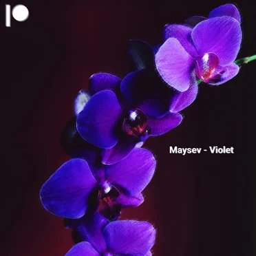 Violet