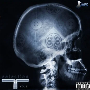T Selection Vol 2 by Panos T - album cover
