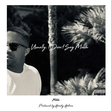 Usually, I Don't Say Much by Mitch - album cover