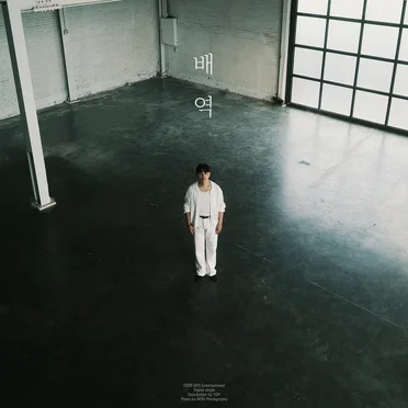 배역