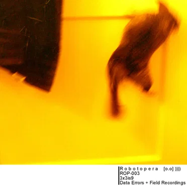 Data Errors + Field Recordings