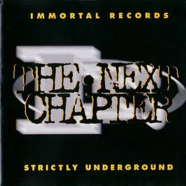 The Next Chapter by Various Artists - album cover