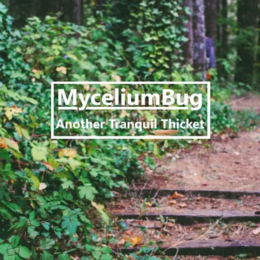 Another Tranquil Thicket