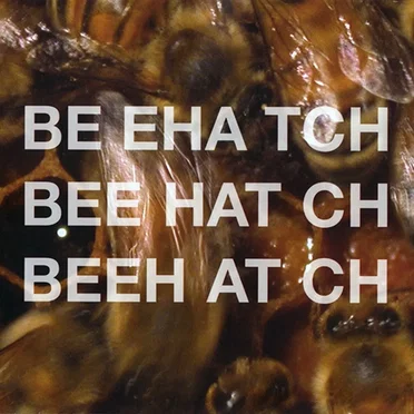 Beehatch by Beehatch - album cover