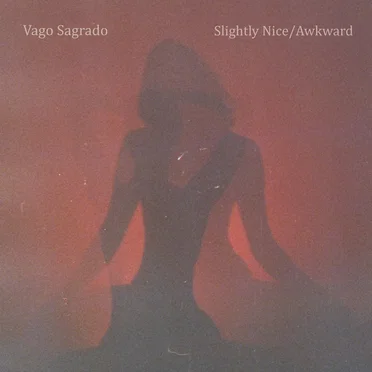 Slightly Nice / Awkward by Vago Sagrado - album cover