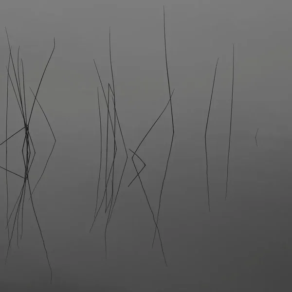 Exit Music