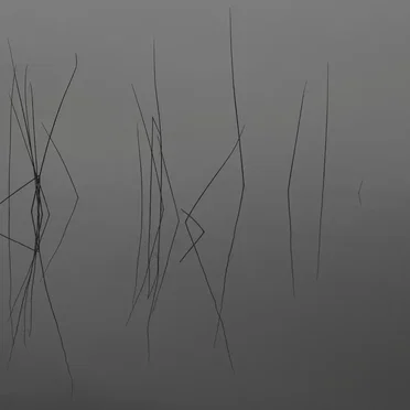 Exit Music
