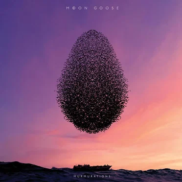 Murmurations