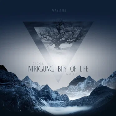 Intriguing Bits of Life