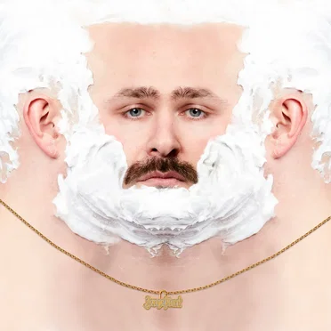Jonge plant by Willy Organ - album cover