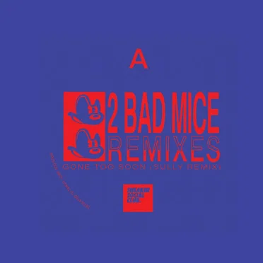 Gone Too Soon (Sully remix) / Limit of Paradise (FaltyDL remix)