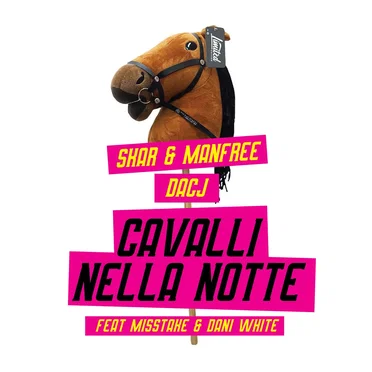 Cavalli nella notte