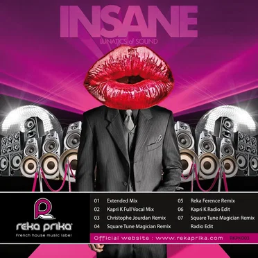 Insane by Lunatics of Sound - album cover