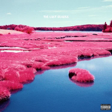 The Lost Beauxs by Ducko McFli - album cover