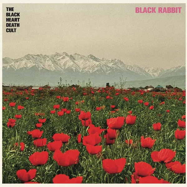 Black Rabbit