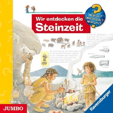 Wir entdecken die Steinzeit by Wieso? Weshalb? Warum? - album cover