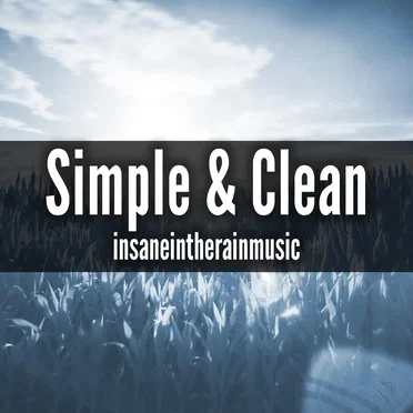 Simple and Clean by insaneintherainmusic - album cover