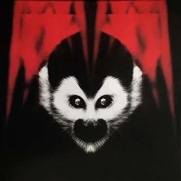 Under Amazonian Lights