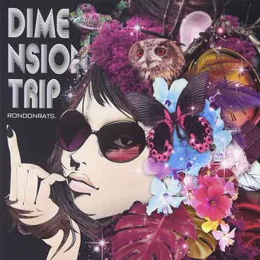 DIMENSION TRIP by RONDONRATS - album cover