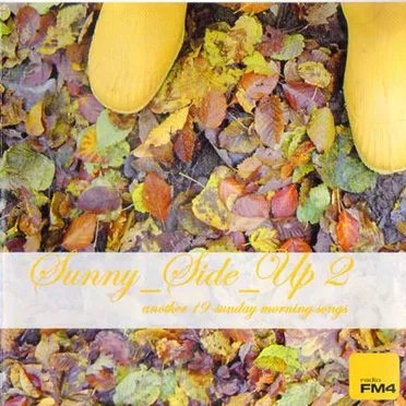 FM4 Sunny Side Up 02 by Various Artists - album cover