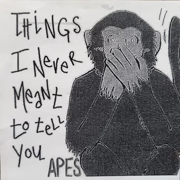 Things I Never Meant to Tell You