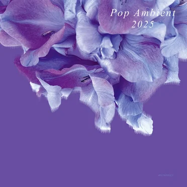 Pop Ambient 2025 by Various Artists - album cover