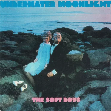 The Soft Boys