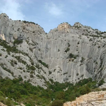 Pedra