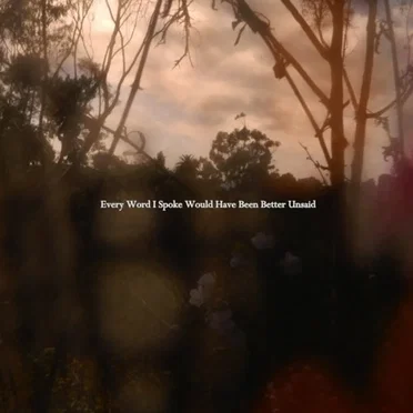 Every Word I Spoke Would Have Been Better Unsaid
