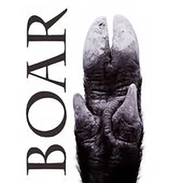 Boar by We Are Boar - album cover