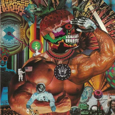 Intestinal Fortitude by French TV - album cover