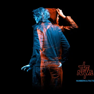 Numbers & Facts by The Name - album cover