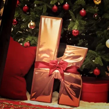 We Did It in the Name of Love