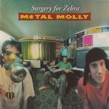 Surgery for Zebra