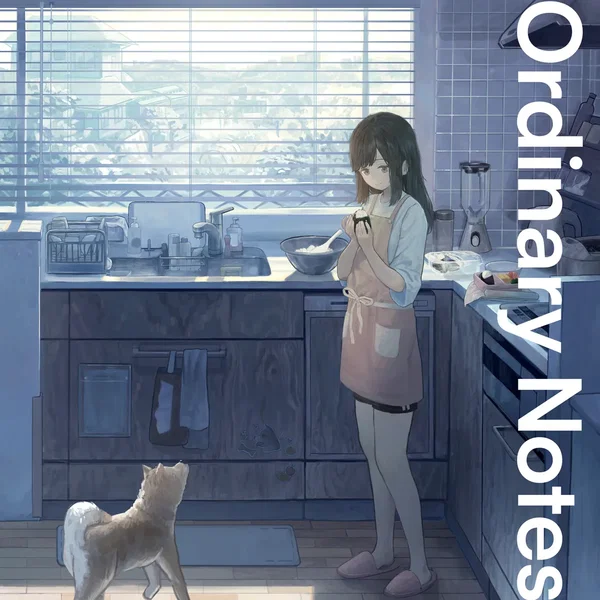 Ordinary Notes