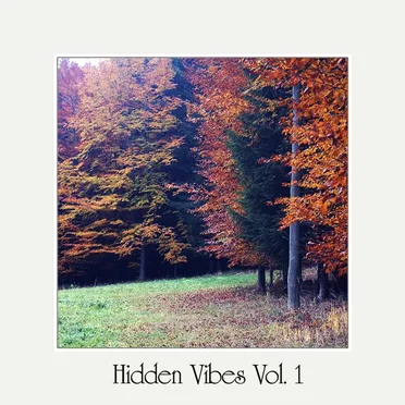 Hidden Vibes Vol. 1 by Various Artists - album cover