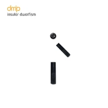 Insular Dwarfism by DM&P - album cover